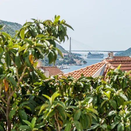 Silente Mokosica